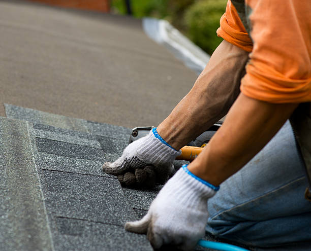 Roof Gutter Cleaning in Harker Heights, TX